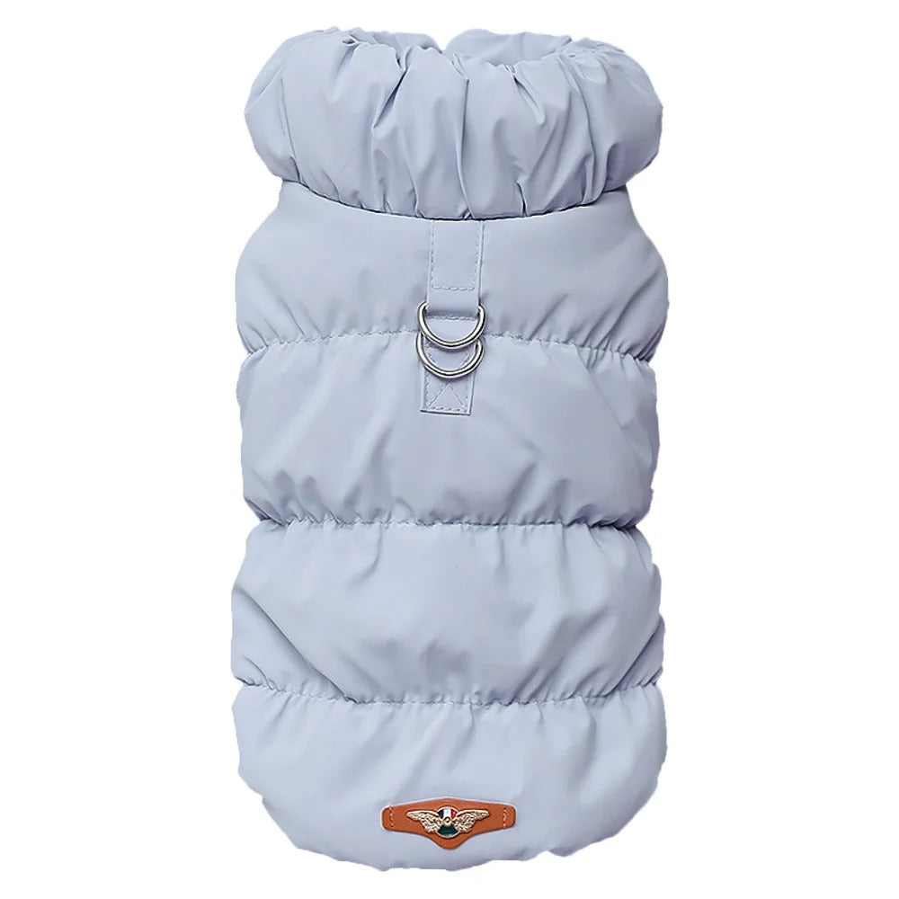 Hundekleidung für den Winter