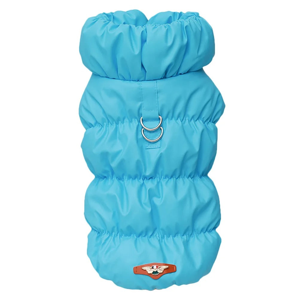 Hundekleidung für den Winter