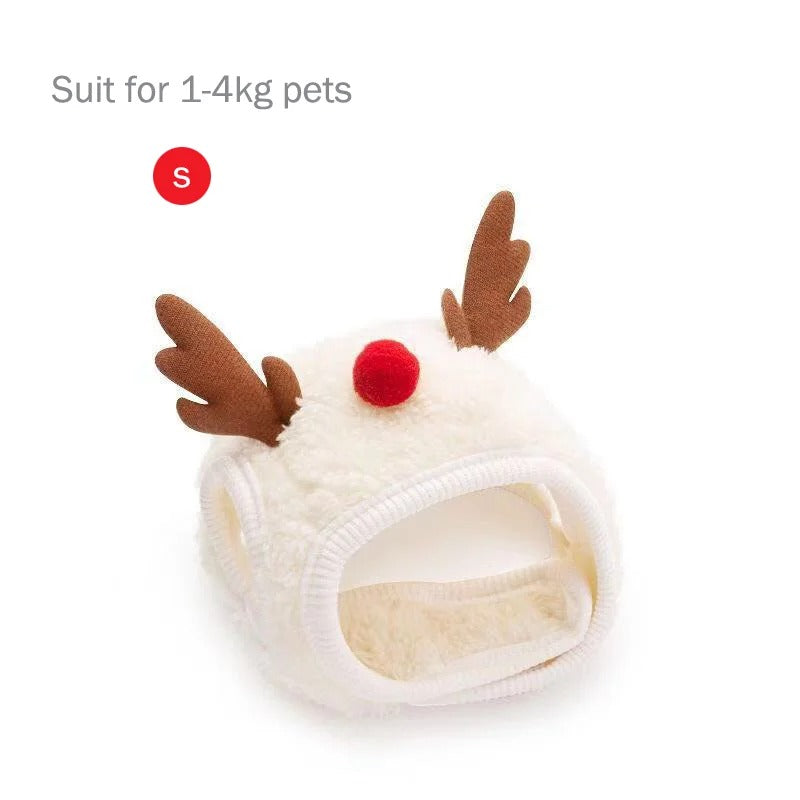 Lustiger Hund Weihnachtsmütze Haustiere