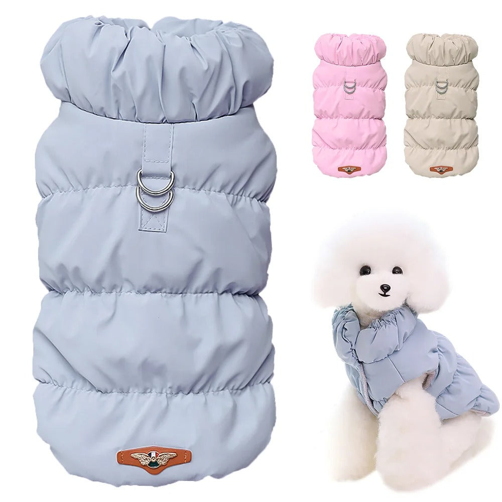 Hundekleidung für den Winter
