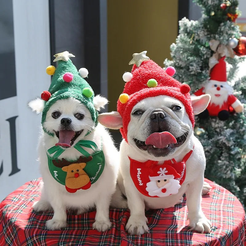 Lustiger Hund Weihnachtsmütze Haustiere