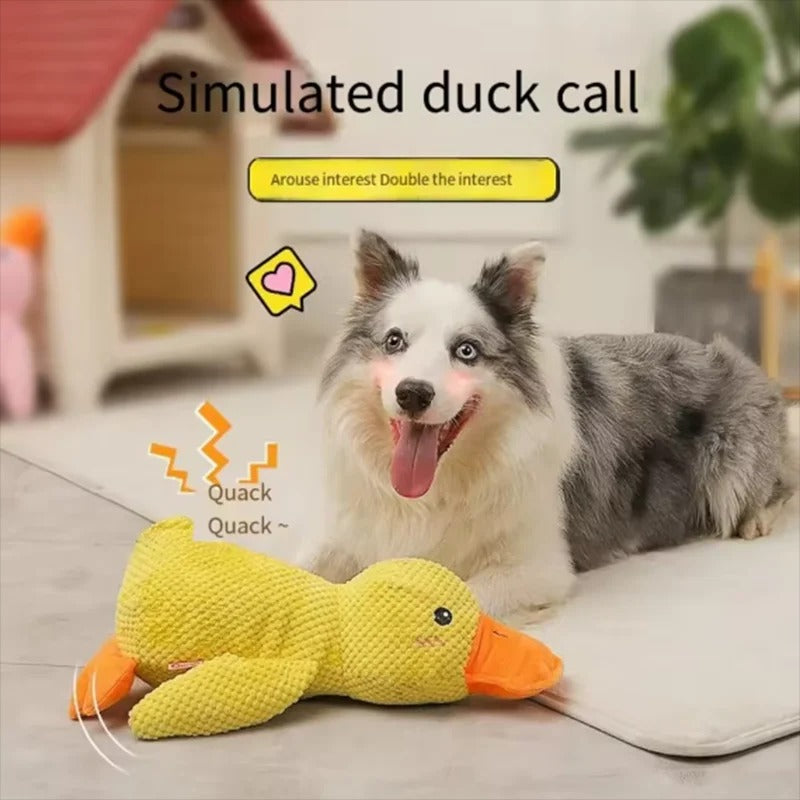 Spielzeugente - Hund umarmt Entenspielzeug