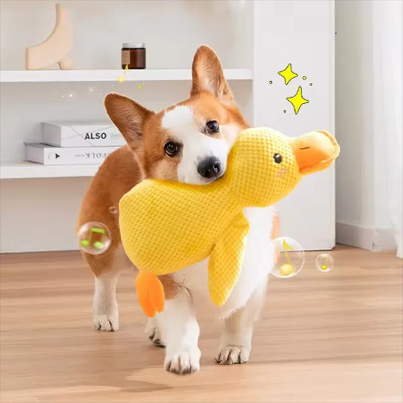 Spielzeugente - Hund umarmt Entenspielzeug