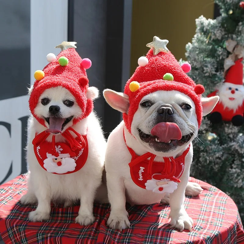 Lustiger Hund Weihnachtsmütze Haustiere