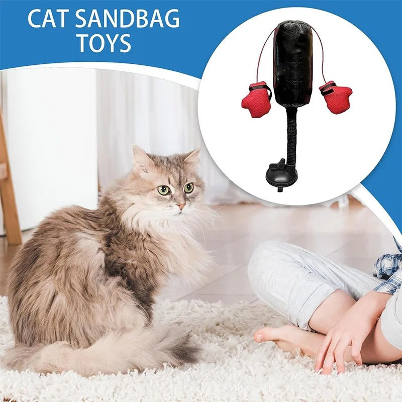 Katze Boxen Spielzeug