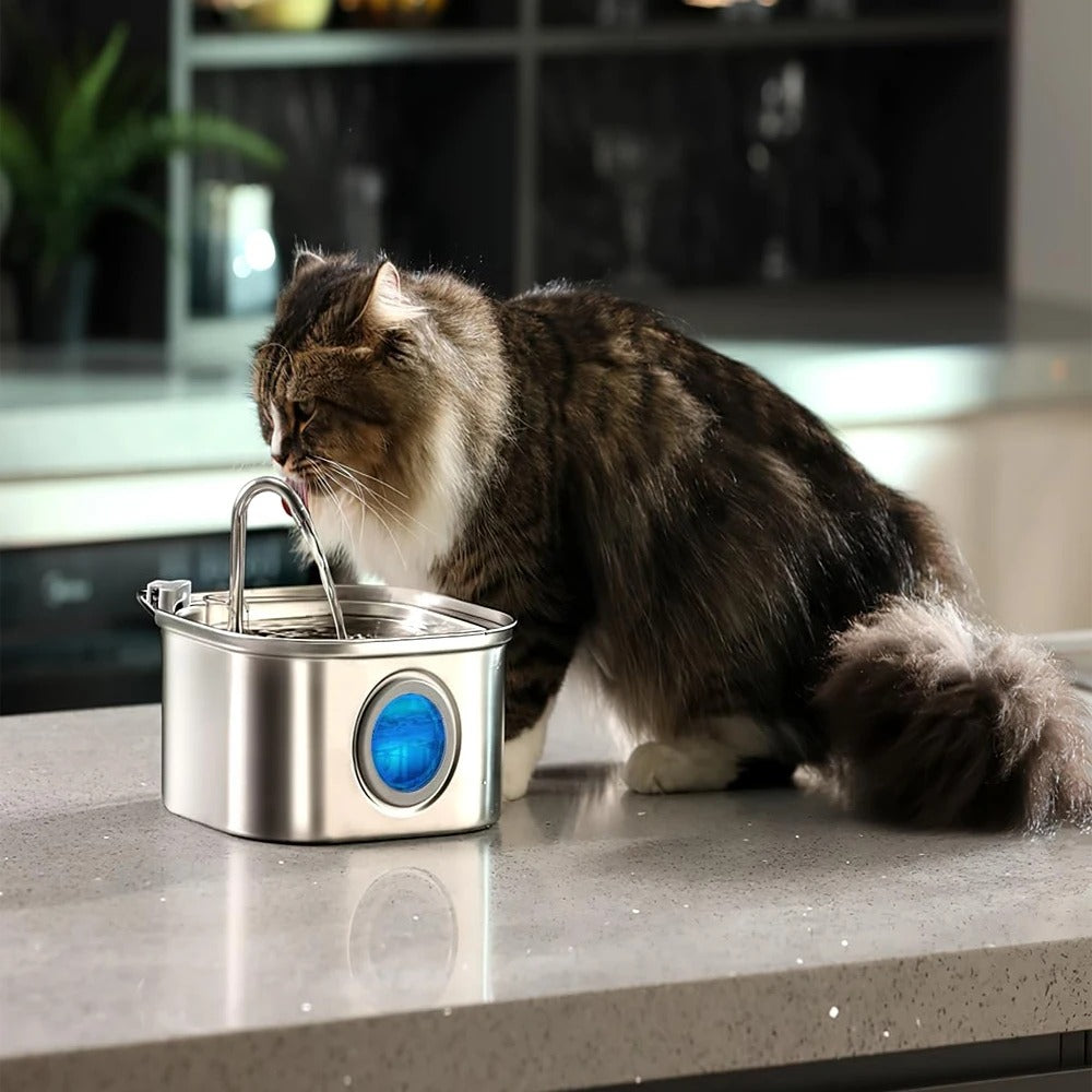 Pet Wasser Feeder