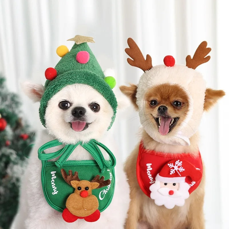Lustiger Hund Weihnachtsmütze Haustiere