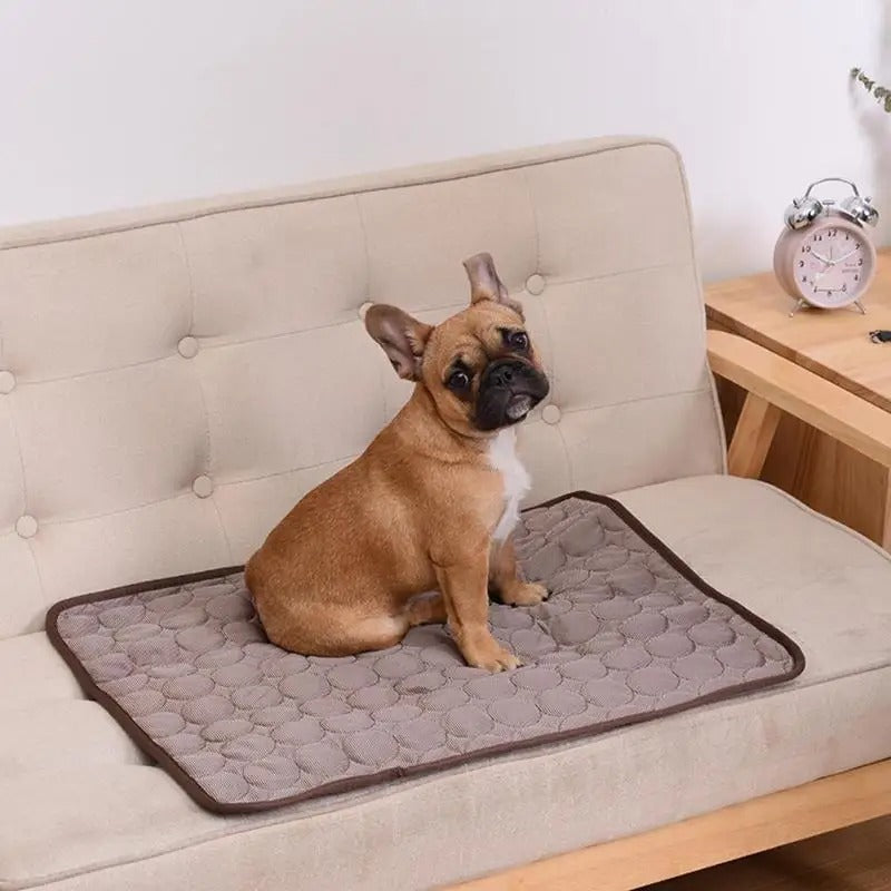 Kühlende Matte für Tiere