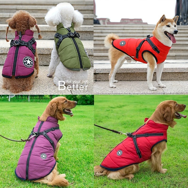 Winter-Hundekleidung mit Geschirr (wasserdicht)