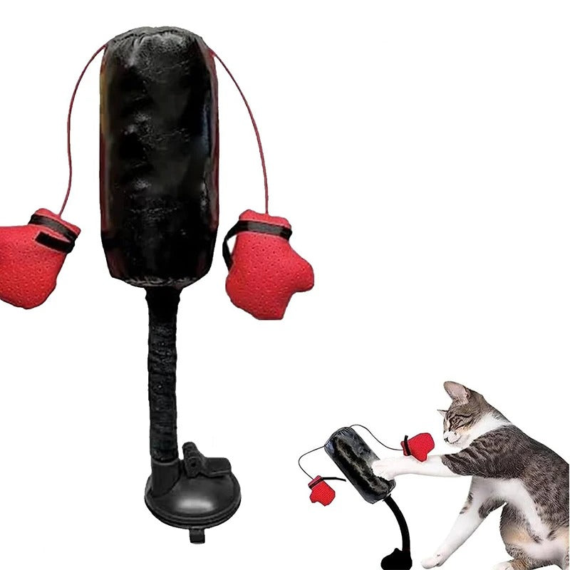 Katze Boxen Spielzeug