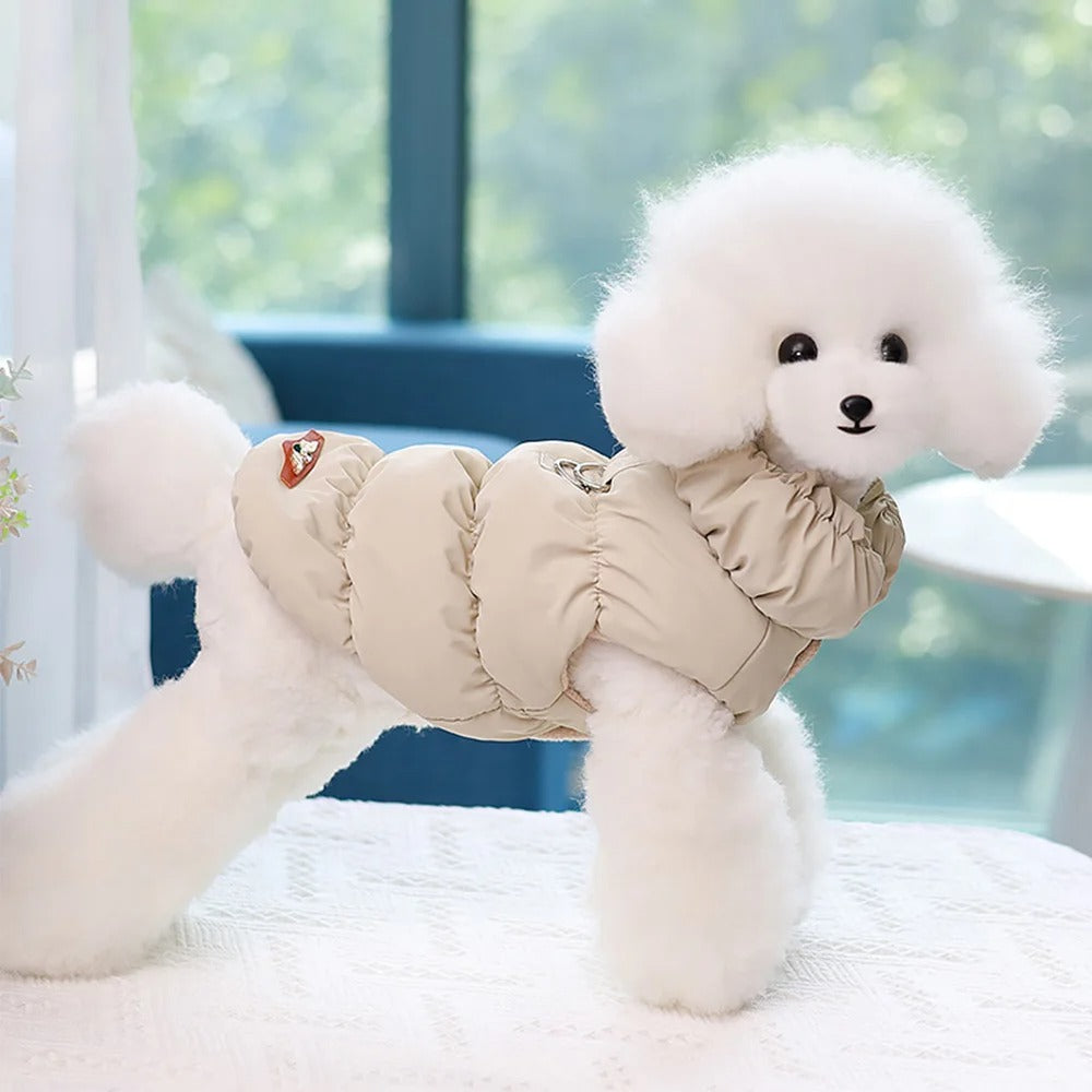 Hundekleidung für den Winter