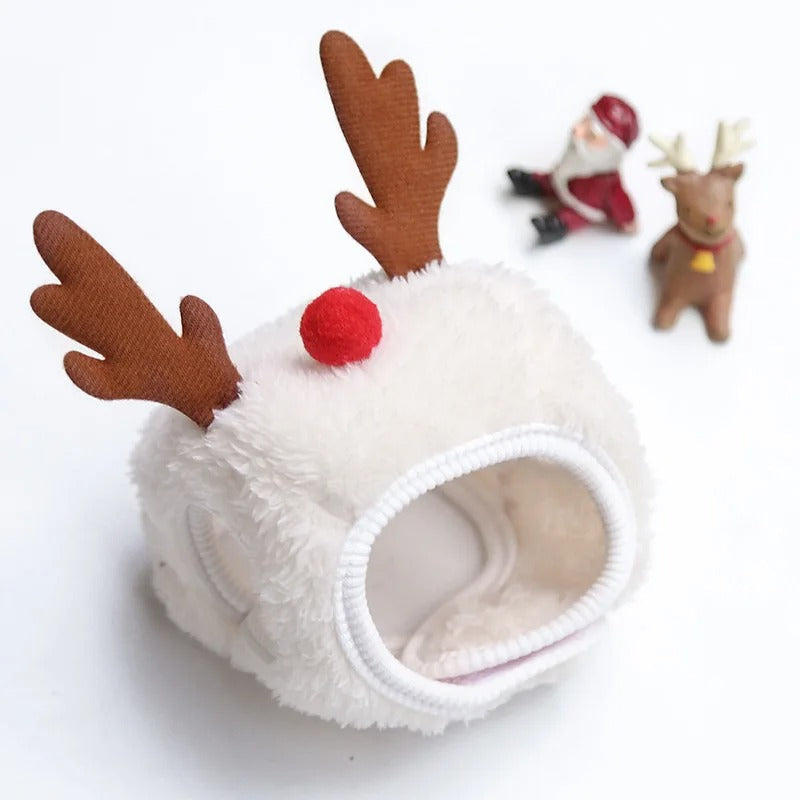 Lustiger Hund Weihnachtsmütze Haustiere