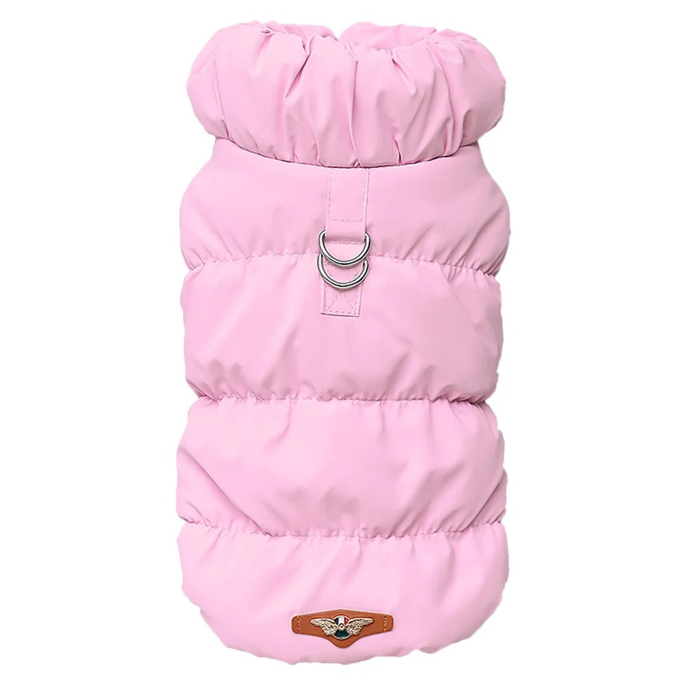 Hundekleidung für den Winter